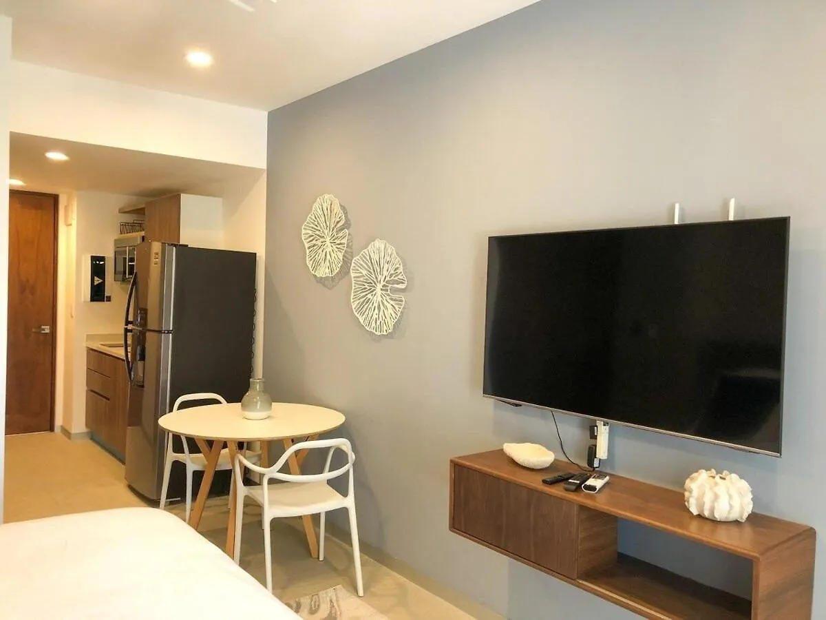 Apartment Deluxe Studio Aparment Mamitas Zone Playa del Carmen Mexico