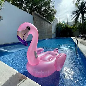  Apartamento Oasis 12